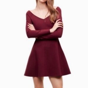 Sunday Best (Aritzia) Sparrow Long Sleeve Fit & Flare Mini Dress